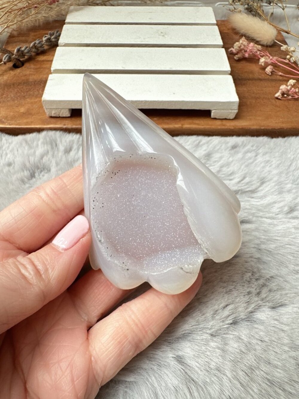 Beautiful Druzy Agate Seashell Carving
